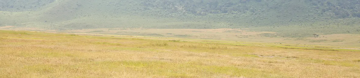 Ngorongoro Crater