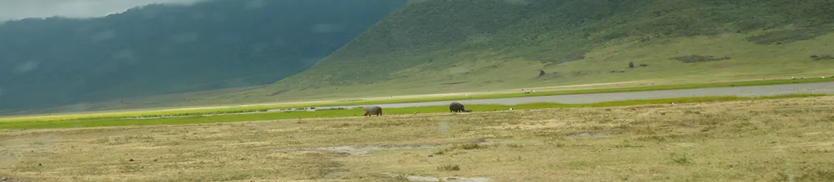 Ngorongoro Crater