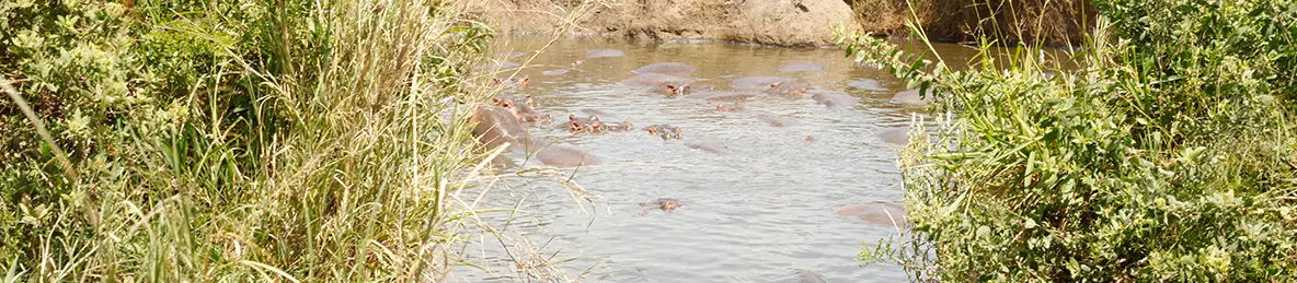 Ngorongoro National Park - Crater