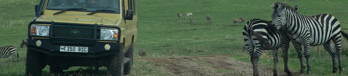 Ngorongoro National Park - Crater