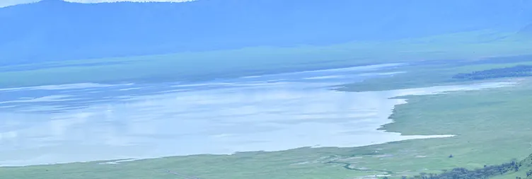 Serengeti (Morning Game Drive) to Ngorongoro 