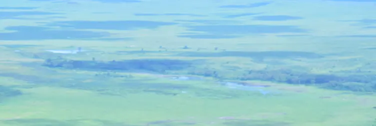 Serengeti to Ngorongoro