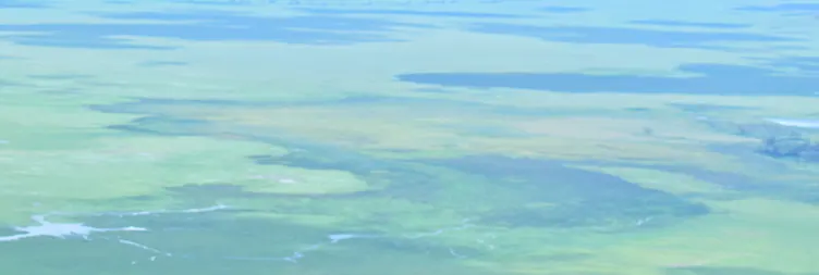 Ngorongoro Crater Tour back to Arusha 