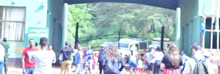 Ngorongoro Crater Tour Back to Arusha 