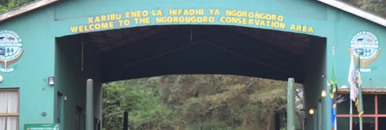 Ngorongoro Crater (Full Day Tour) and Back to Arusha 