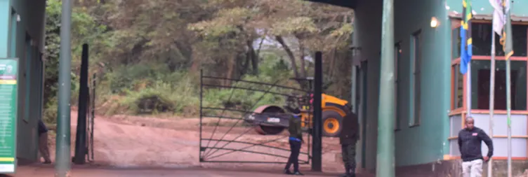 Ngorongoro Crater Full Day Tour Back to Arusha 