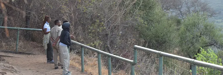 Ngorongoro Crater (Full Day Tour) back to Arusha 