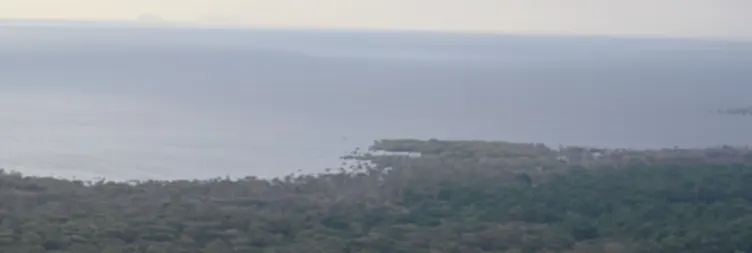 Manyara to Serengeti (Afternoon Game Drive) 