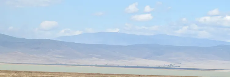 Serengeti (Morning Game Drive) to Ngorongoro (Camping in the Wild) 