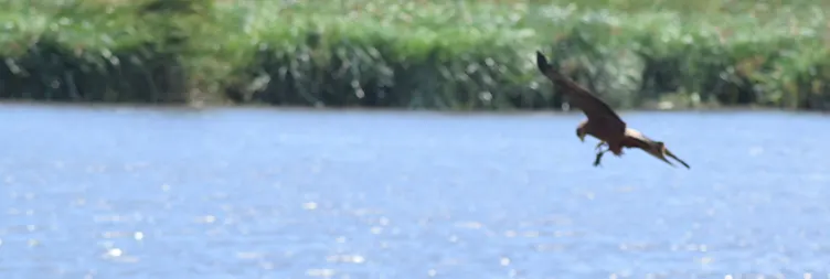 Ngorongoro Crater (Full Day Tour) - Back to Arusha 