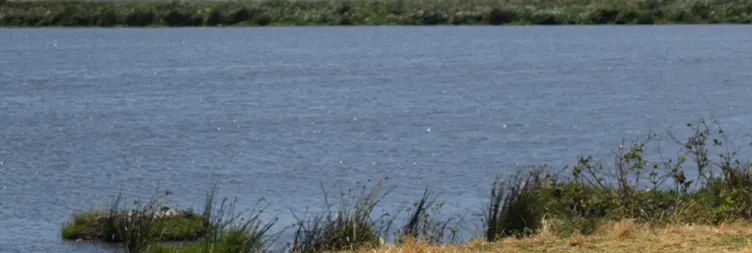 Serengeti to Ngorongoro 