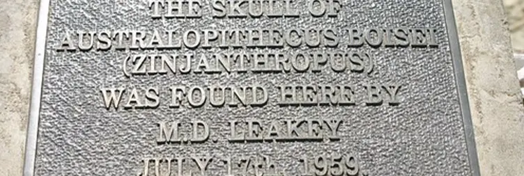 Serengeti (Morning Game Drive) to Ngorongoro 