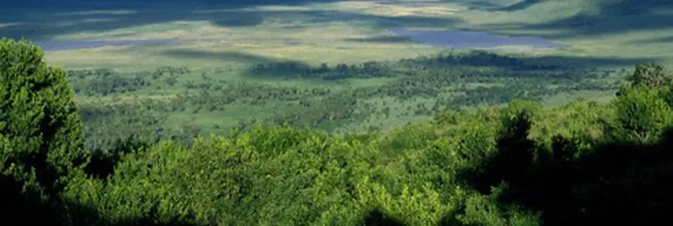 Ngorongoro Crater Tour back to Arusha 