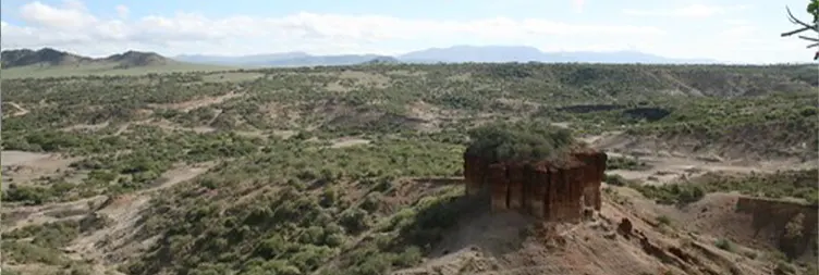 Ngorongoro Crater Full Day Tour Back to Arusha 