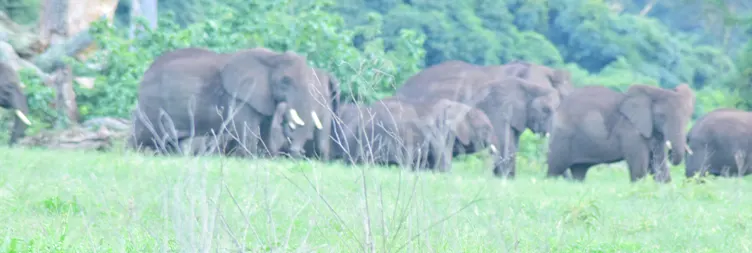 Serengeti to Ngorongoro 