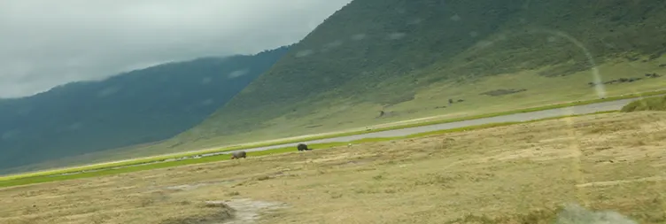 Ngorongoro Crater Tour back to Arusha 