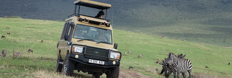 Ngorongoro Crater Tour back to Arusha 