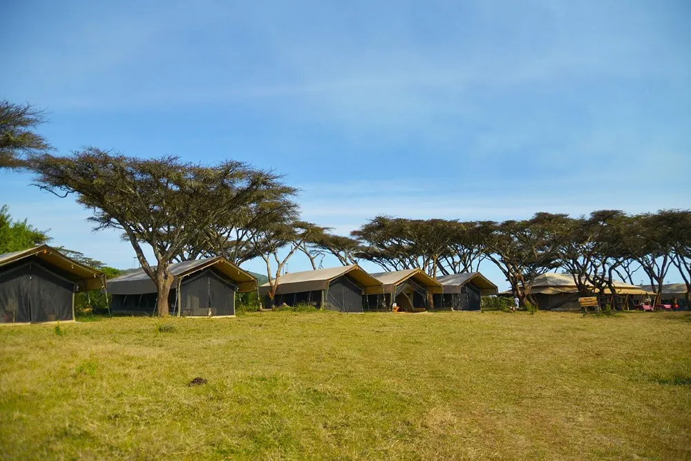 Ngorongoro Kuhama Camp Images
