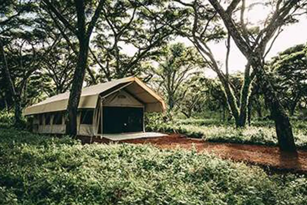 Ngorongoro Tortilis Camp Images