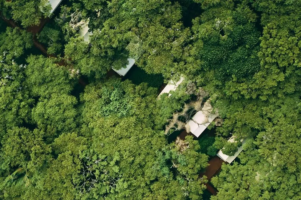 Ngorongoro Tortilis Camp Images