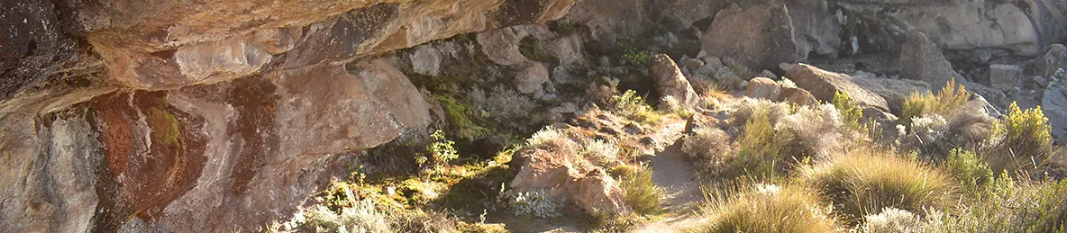 Kilimanjaro Northern Circuit Route