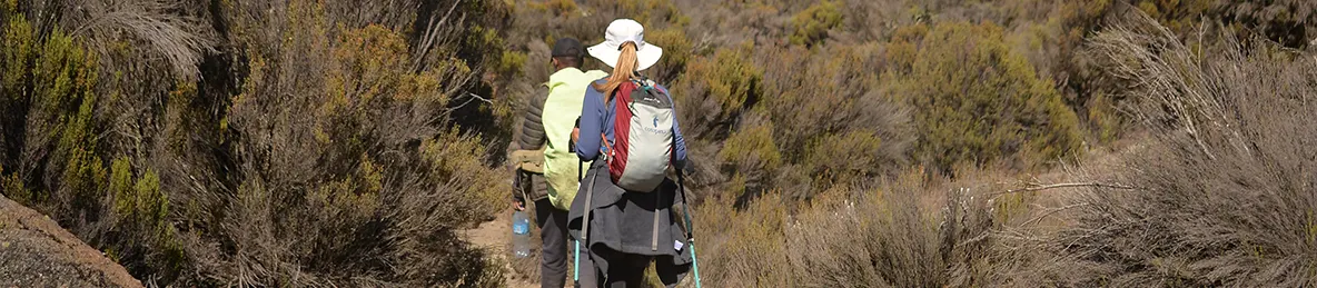 Kilimanjaro Northern Circuit Route