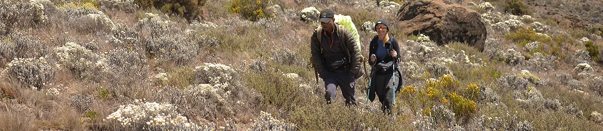 Kilimanjaro Northern Circuit Route