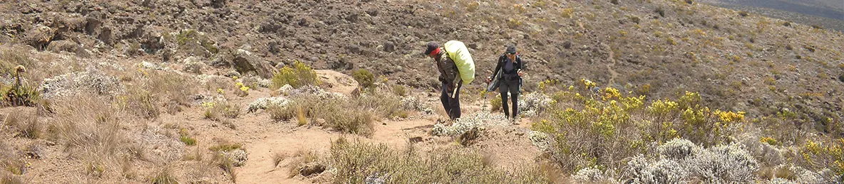 Kilimanjaro Northern Circuit Route