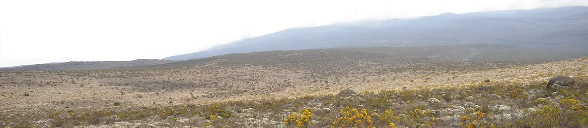 Kilimanjaro Northern Circuit Route