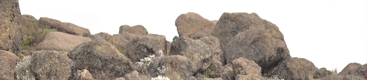 Kilimanjaro Northern Circuit Route