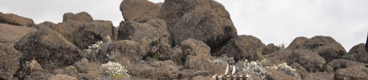 Kilimanjaro Northern Circuit Route