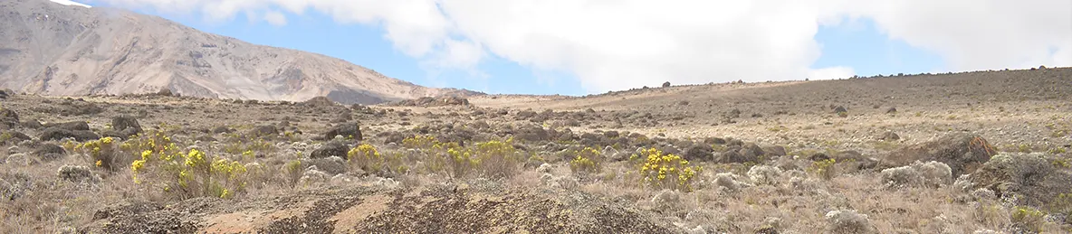 Kilimanjaro Northern Circuit Route