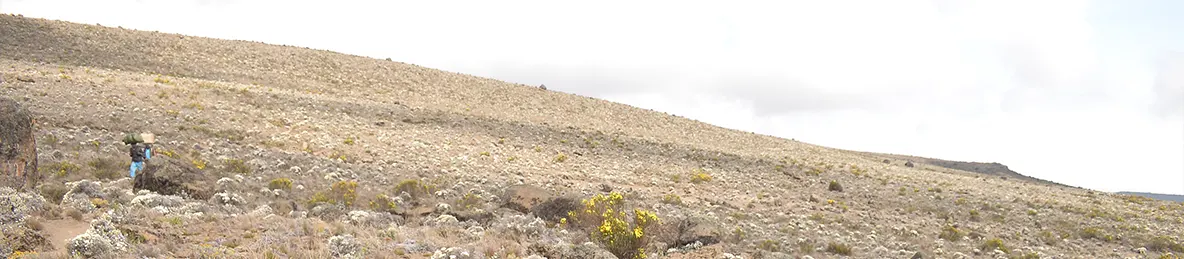 Kilimanjaro Northern Circuit Route