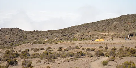 9 Days Epic Kilimanjaro Trekking Northern Circuit Route