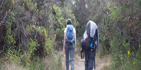 7 Days Epic Rongai Route Kilimanjaro Trekking Escape