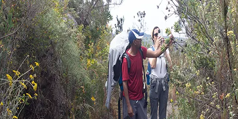 7 Days Kilimanjaro Kinship on the Rongai Route Expedition