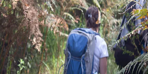 7 Days Kilimanjaro Trek via Rongai Route