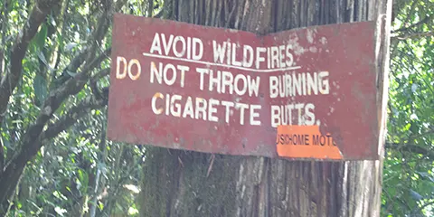 cover-7 Days Kilimanjaro Hiking Bliss on Rongai Route