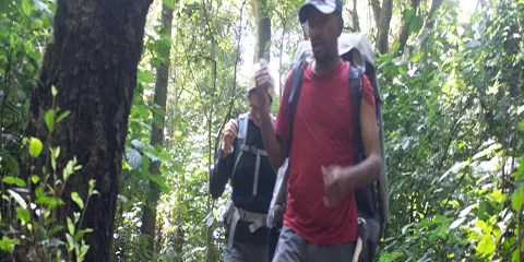 6 Days Vista Victory on Kilimanjaro Trekking Rongai Route