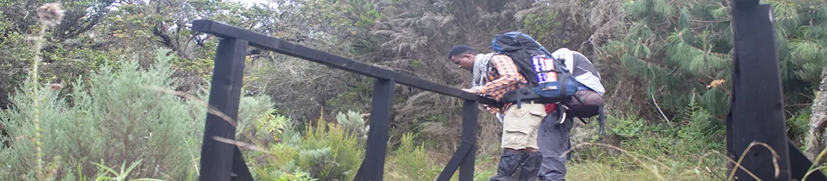 Kilimanjaro Rongai Route