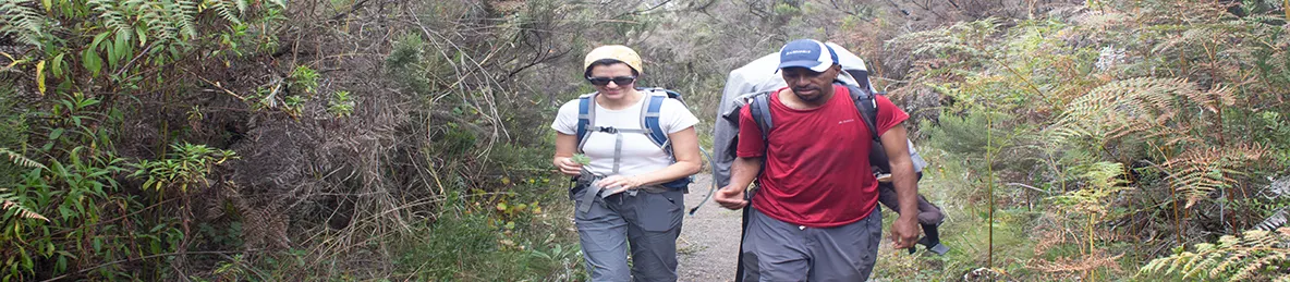 Kilimanjaro Rongai Route