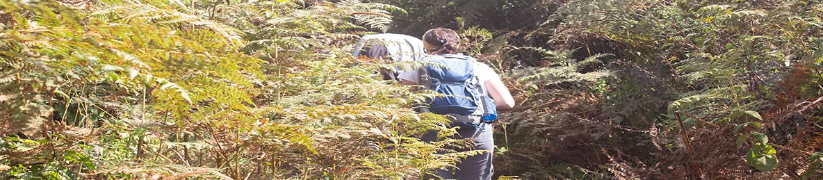 Kilimanjaro Rongai Route