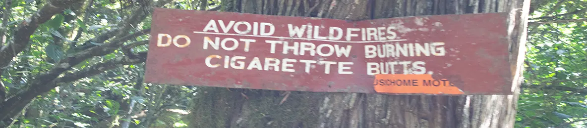 Kilimanjaro Rongai Route