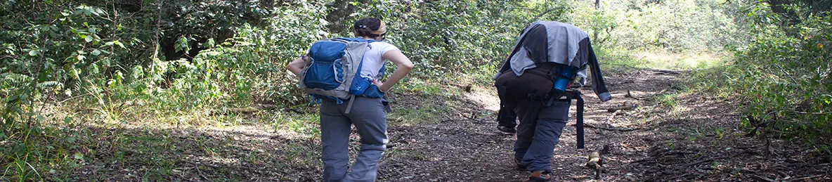 Kilimanjaro Rongai Route