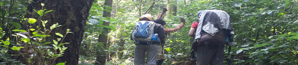 Kilimanjaro Rongai Route