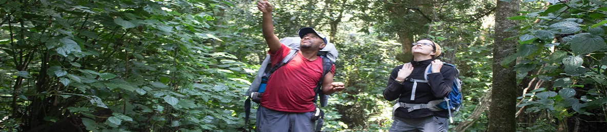 Kilimanjaro Rongai Route