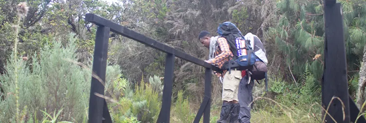 Moshi Rongai Gate to Simba Camp 