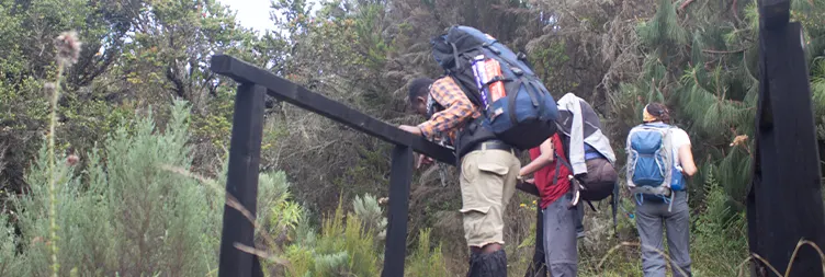 Moshi to Rongai Gate to Simba Camp 