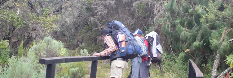 From Moshi to Rongai Gate to Simba Camp 