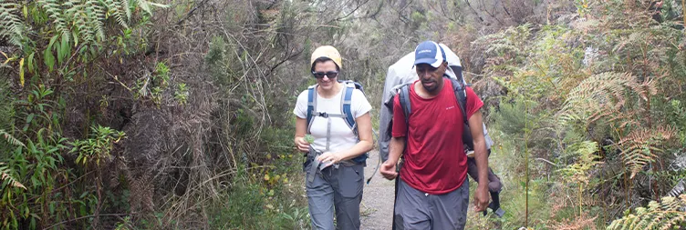 Moshi to Rongai gate to Simba camp